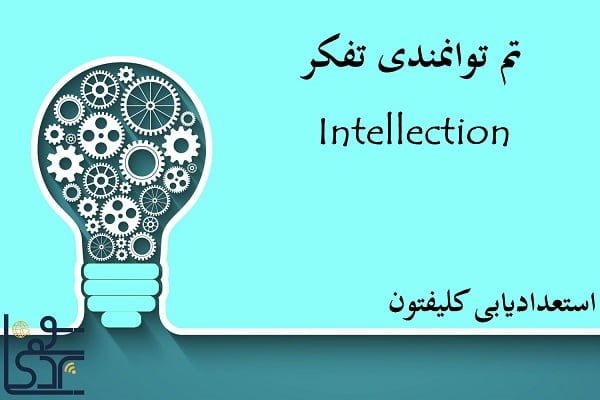 تم توانمندی تفکر (Intellection)