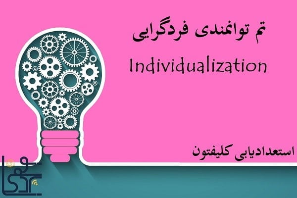 تم توانمندی فردگرایی (Individualization)