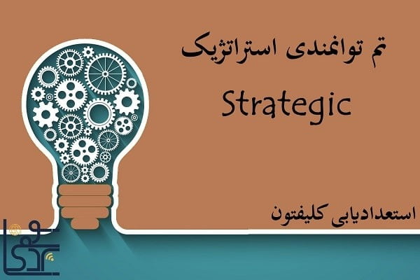 تم توانمندی استراتژیک (Strategic)