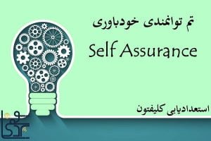 تم توانمندی خودباوری (Self Assurance)