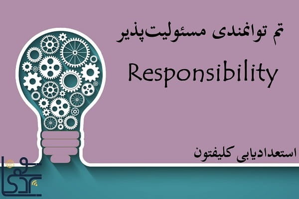 تم توانمندی مسئولیت‌پذیری (Responsibility)