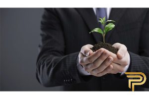 پرورش استعداد