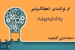 تم توانمندی انعطافپذیر (Adaptability)