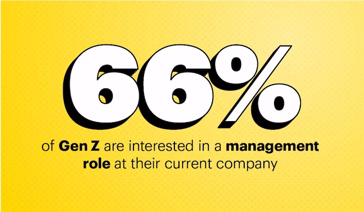 ارزش مزایا: اولویتهای نسل زد در محیط کار